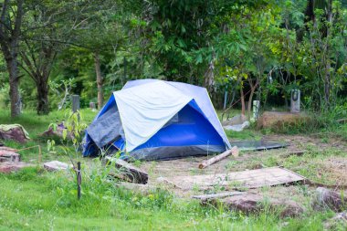 Yeşil orman zemin üzerine mavi çadır