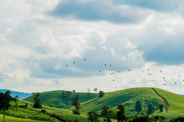 Vista Montaña Tailandesa Wang Nam Khiao Nakhon Ratchasima Tailandia — Foto de Stock