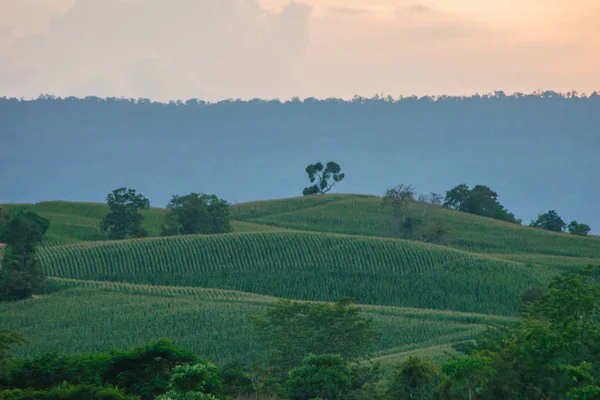 Vista Montaña Tailandesa Wang Nam Khiao Nakhon Ratchasima Tailandia — Foto de Stock