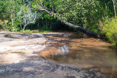 küçük nehir doğa düşüyor