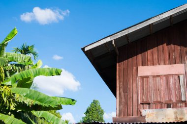 ahşap ev Tay tarzı