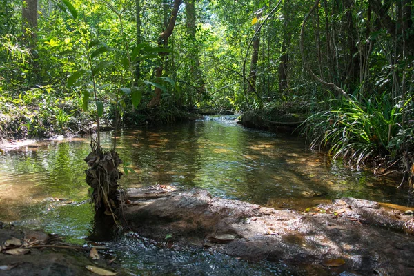 Pequeno Rio Cai Natureza — Fotografia de Stock