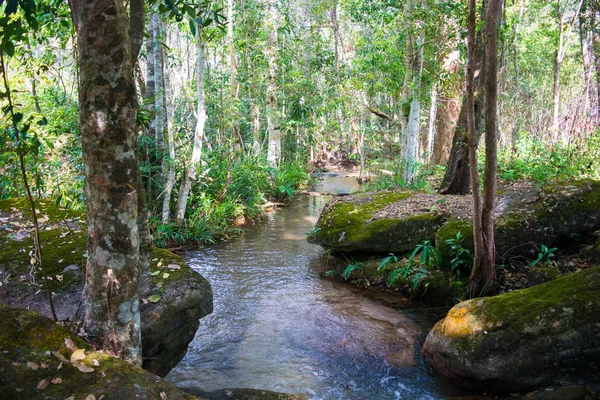 Kleiner Fluss Fällt Natur — Stockfoto