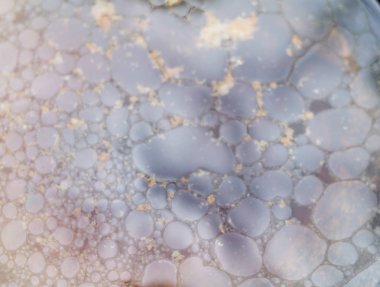 yağ damla su arka plan üzerinde kapat