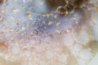 yağ damla su arka plan üzerinde