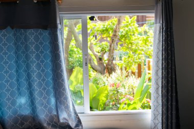 Ev penceresinden yeşil doğaya bakış