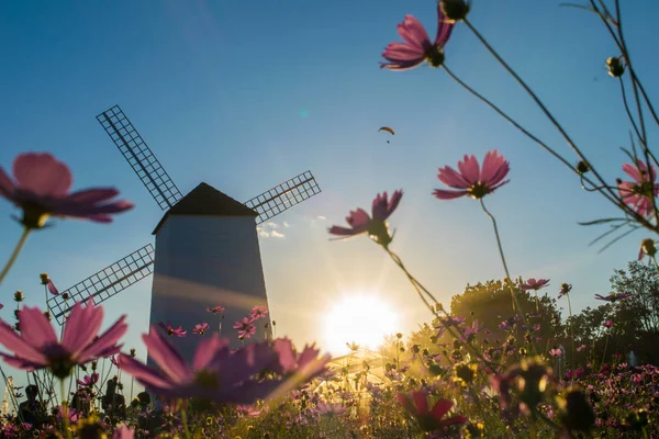 Molino Viento Comos Campo Flores — Foto de Stock