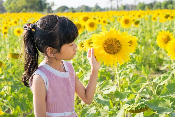 Ayçiçeği Bahar Alanı Ile Güzel Çocuk — Stok fotoğraf