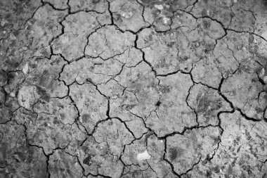 Pis, kuru bir çatlağın yüzeyi, yapısal arka plan için kavrulmuş toprak..