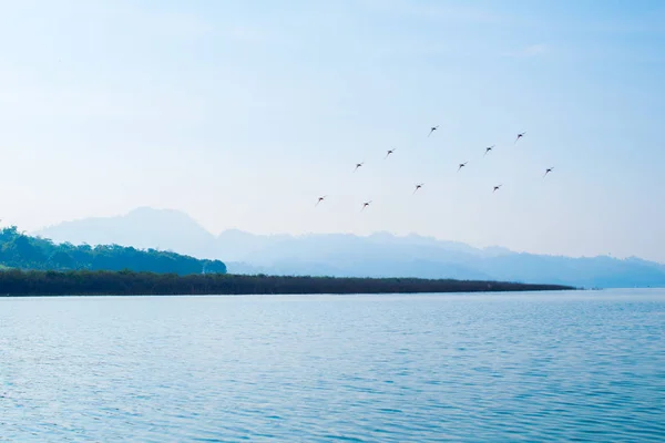 Pohled Krajinu Čistou Mořskou Vodou Horami Ptáky — Stock fotografie