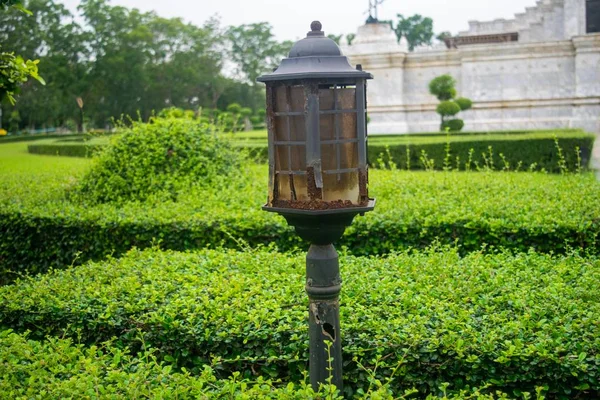 broken lamp in green garden