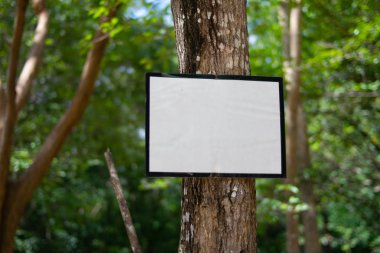 Doku için yeşil ağaçta boş beyaz boşluk