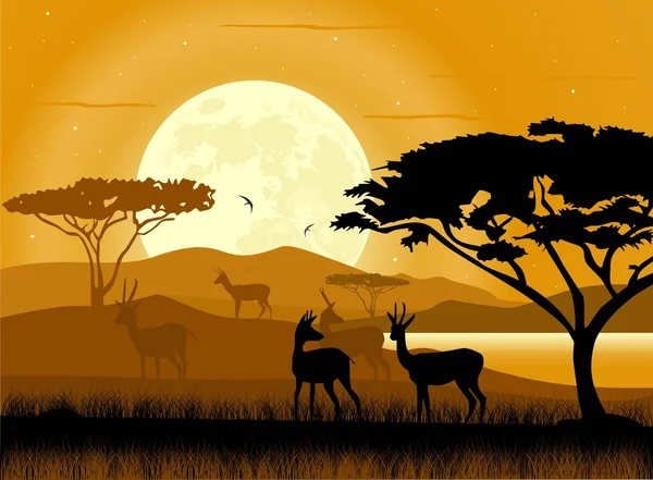 Savana Africană Animale Africane Fundal Luminos Safari Africani — Vector de stoc