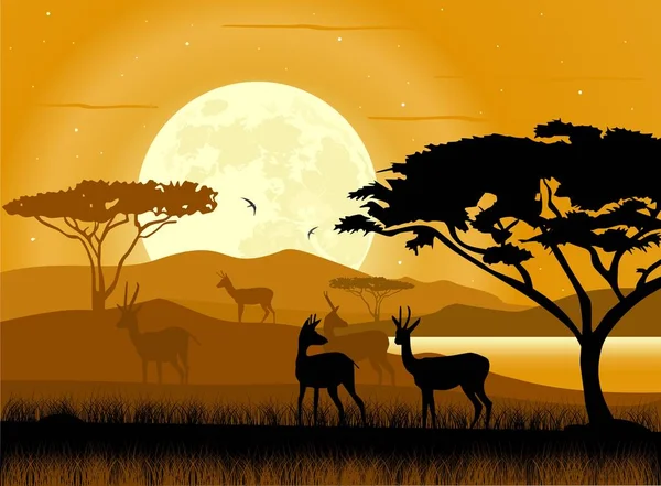 African Savanna African Animals Moon Light Background African Safari — Stock Vector