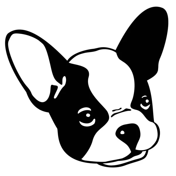 Hund Fransk Bulldog Vektor Ikon Huvud Möta Illustration — Stock vektor
