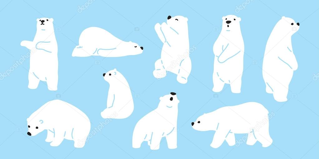 Bear vector Polar Bear doodle illustration character cartoon