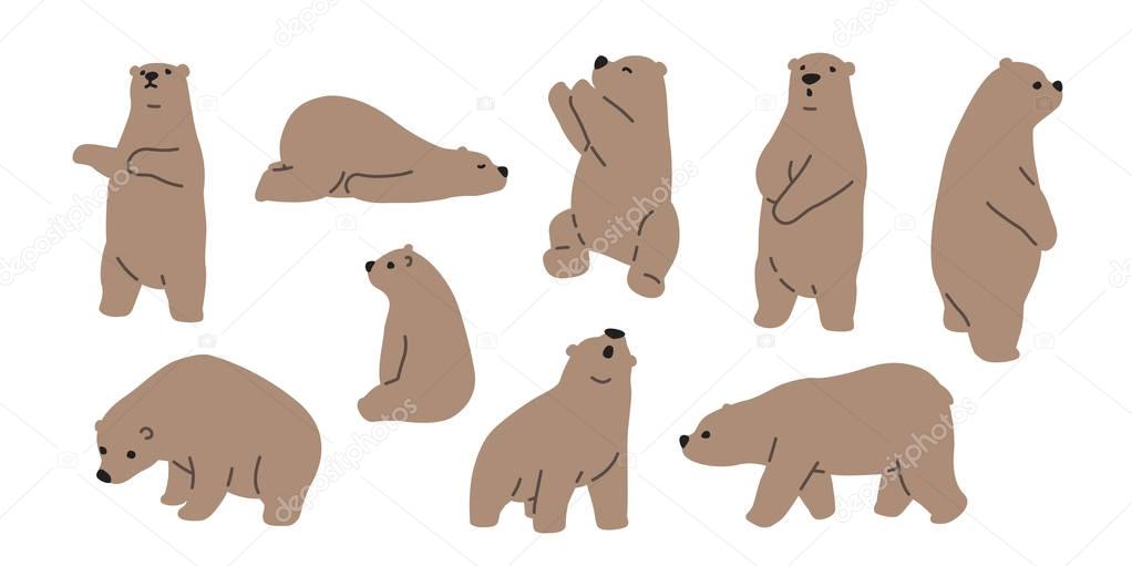 Bear vector polar bear teddy cartoon character illustration