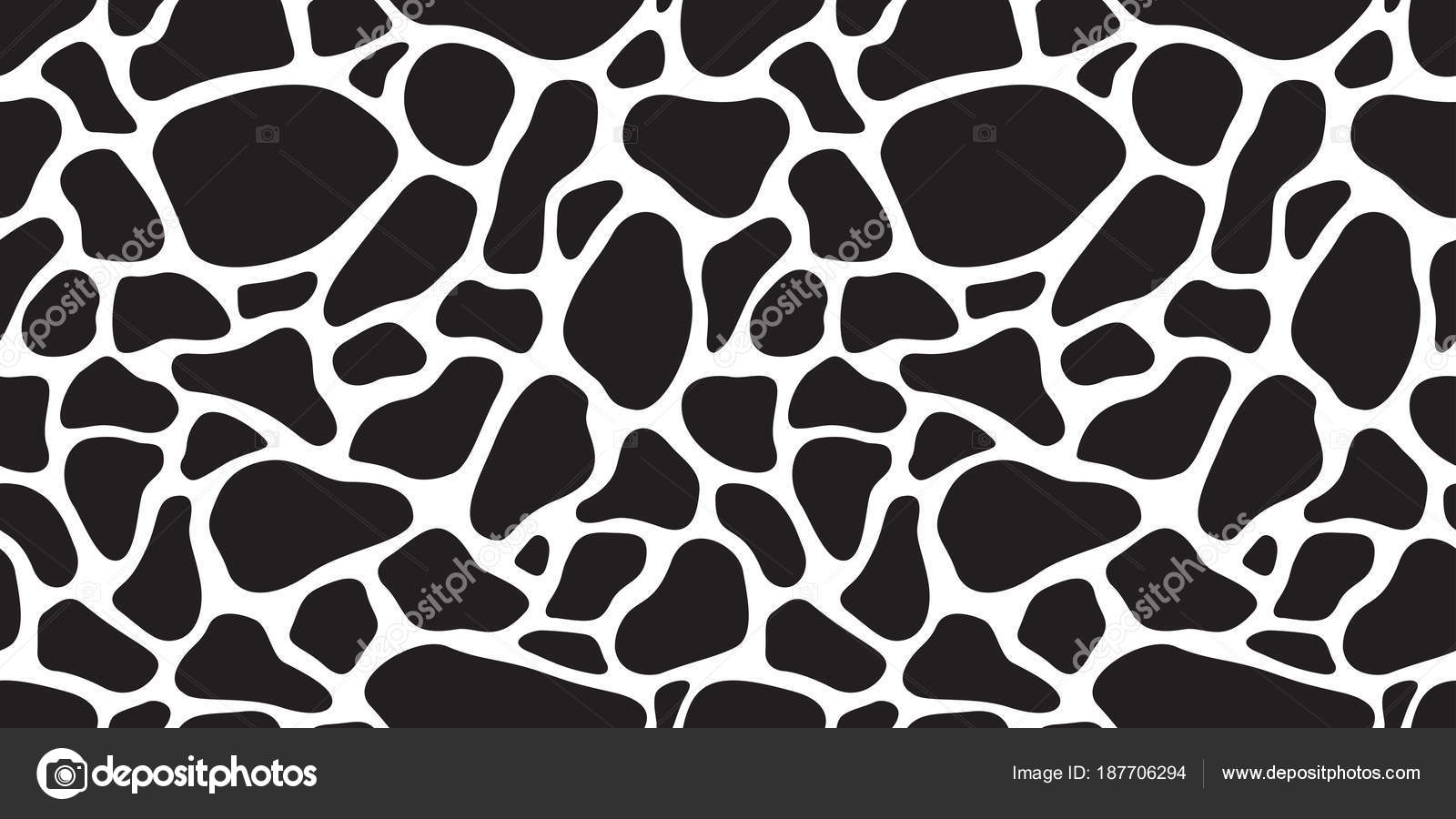 Giraffe Wallpaper Black And White Giraffe Wallpaper Black And White
