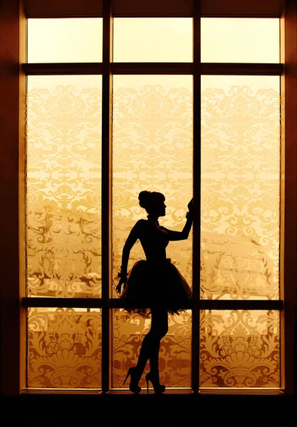 Silhouette of beautiful dancer girl on high hilts