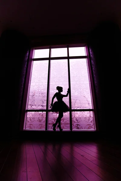 Silhouette di bella ballerina ragazza sulle alte elsa — Foto Stock