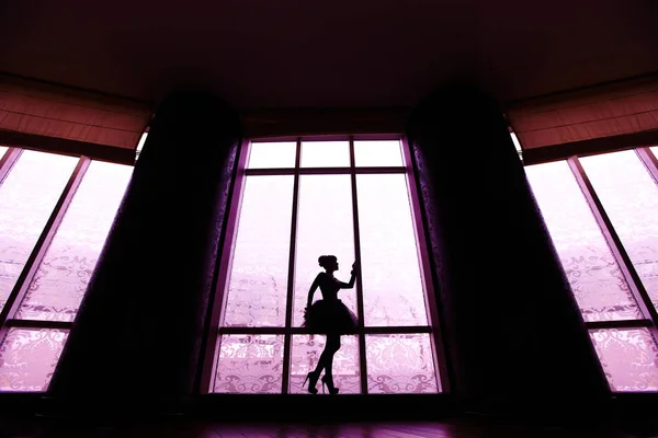 Silhouette di bella ballerina ragazza sulle alte elsa — Foto Stock