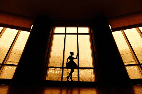 Silhouette di bella ballerina ragazza sulle alte elsa — Foto Stock