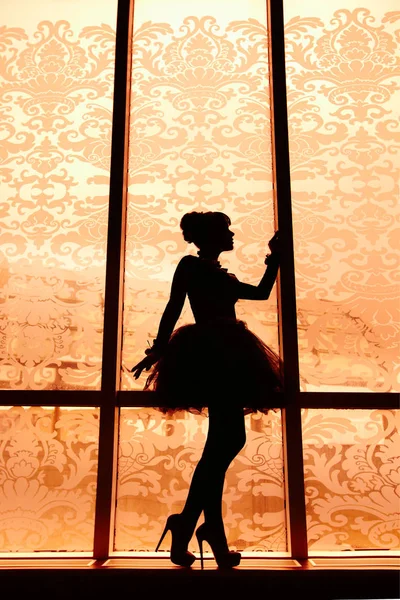 Silhouette of beautiful dancer girl on high hilts