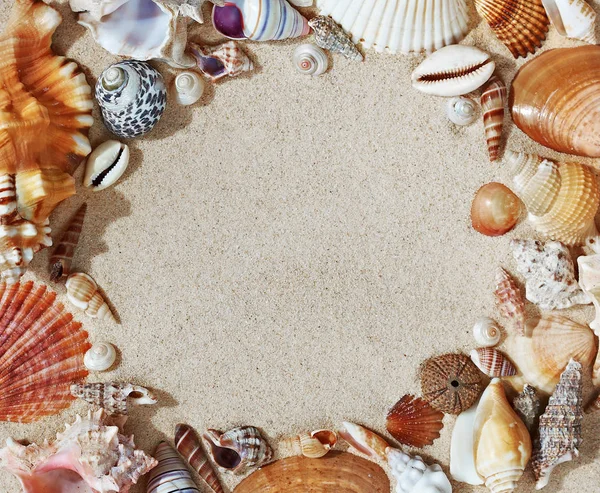 Rám z barevné krásné mušle na písku pozadí. — Stock fotografie
