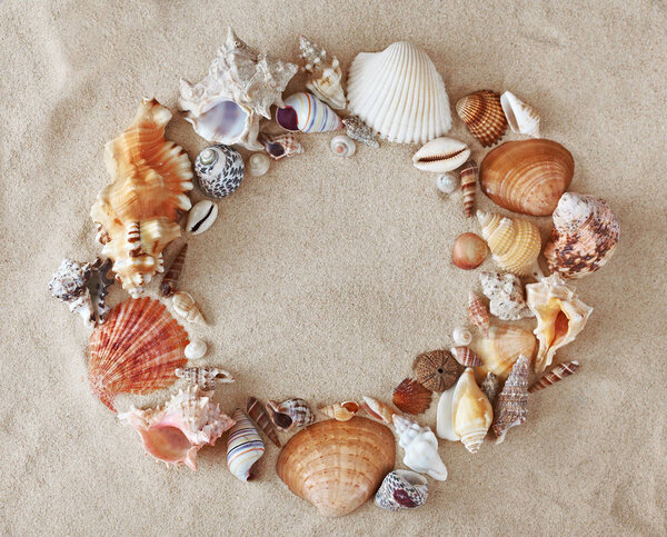 Frame made from colorful beautiful seashells on sand background.
