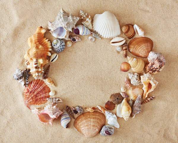 Frame made from colorful beautiful seashells on sand background.