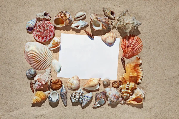 Frame with blank space made of colorful beautiful natural seashe — Stock Photo, Image