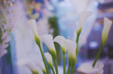 Düğün töreni dekorasyon ayrıntıları kavramı mavi