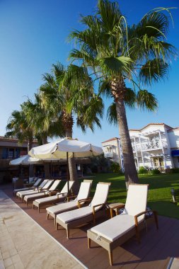 Havuzda şemsiye şezlong ile küçük otel rahatlatıcı ve avuç içi ile çevrili