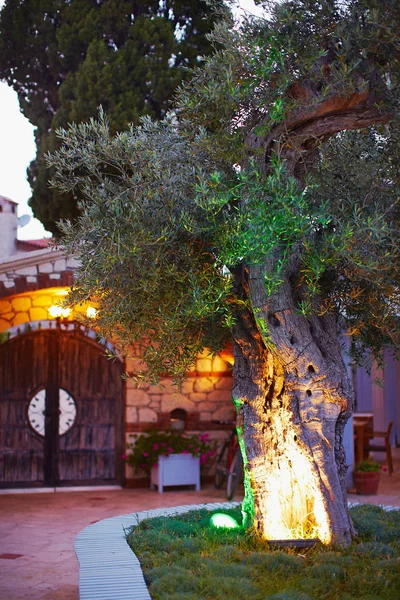 Vue du soir de la petite porte d'entrée confortable de l'hôtel de charme sur le côté méditerranéen — Photo