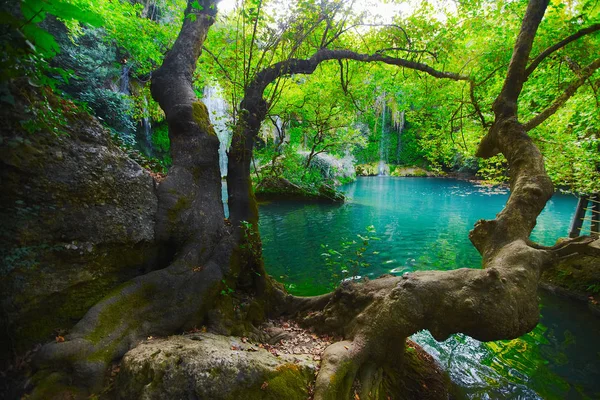 Parque da Cachoeira em Antalya, Turquia. Kursunlu selalesi — Fotografia de Stock