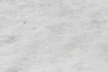 Küçük nesneleri ileri geri gelme dışarı ile ilkbaharda eriyen kar doku