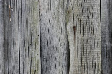 Eski ahşap duvar desen arka plan