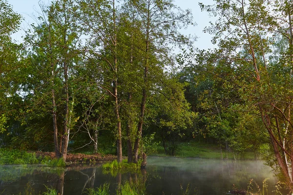 Niebla matutina en el lago norte — Foto de Stock