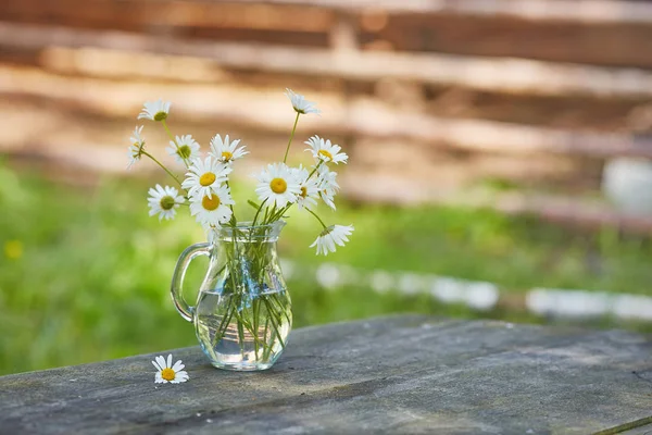 Charming still life with copy space chamomilles and daisies in water — Stock Photo, Image