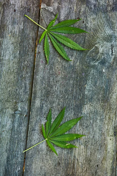 Foglia di marijuana su texture in legno con spazio copia — Foto Stock
