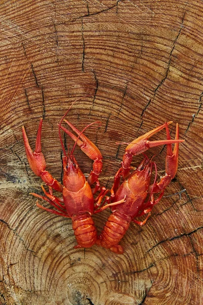 Crawfish cuit et servi sur fond de bois — Photo