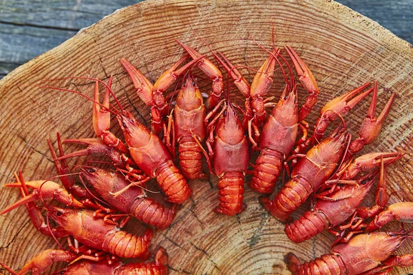 Crawfish dimasak dan disajikan di latar belakang kayu — Stok Foto