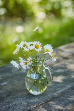 Kopyalama alanı chamomilles ve papatya suyu ile büyüleyici natürmort