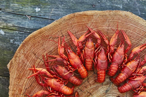 Crawfish dimasak dan disajikan di latar belakang kayu — Stok Foto