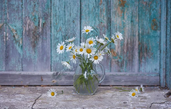 Charming still life with copy space chamomilles and daisies in water on wood background — Stock Photo, Image