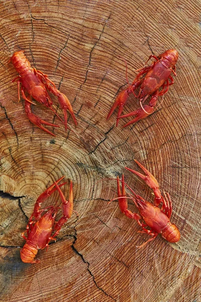 Crawfish cuit et servi sur fond de bois — Photo