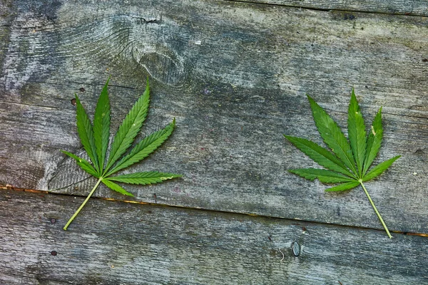 Kopya alanı ile ahşap doku üzerinde marihuana yaprağı — Stok fotoğraf