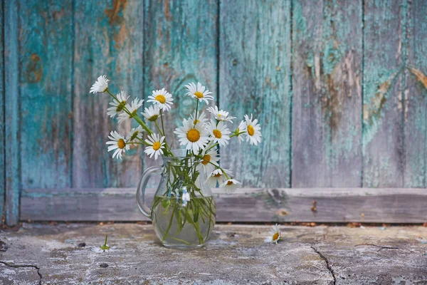 Charming still life with copy space chamomilles and daisies in water on wood background — Stok Foto