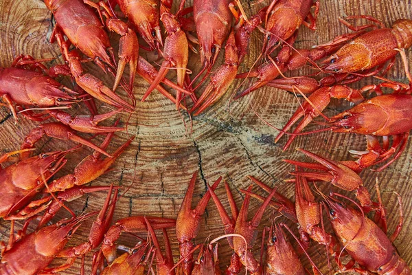 Cangrejo cocinado y servido sobre fondo de madera — Foto de Stock