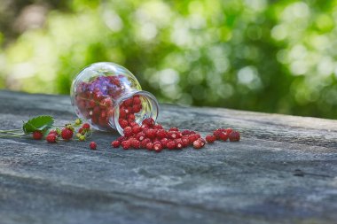 Ormandan taze yaz aldı sürahi orman çilek toplandı